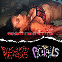 Pigtails - The Gory Side Of The Porn (Split)