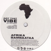 Afrika Bambaataa - Got That Vibe
