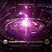 Waveform - Moment To Moment (Single)