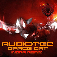 Audiotec - Minds Network (Indra Remix) [Single]