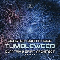 Burn In Noise - Tumbleweed (Djantrix & Spirit Architect Remix) [Single]