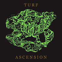 Bubblemath - Turf Ascension (Single)