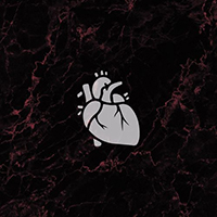 Defences - The Heart (Single)