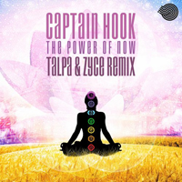 Captain Hook - The Power Of Now (Zyce & Talpa Remix) [Single]