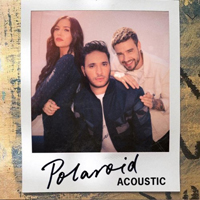 Payne, Liam - Polaroid (Acoustic) (Single)