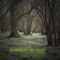 Tronestam, Johan - A Voice in the Wind