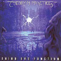 Theory In Practice - Third Eye Function