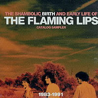 Flaming Lips - Shambolic Birth And Early Life Of