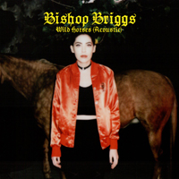 Bishop Briggs - Wild Horses (Acoustic) (Single)