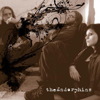 theEndorphins - Promo