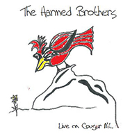 Harmed Brothers - Live On Cougar Mountain