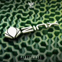 Zinx (POR) - Pixel Maze [Single]