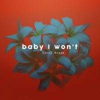 Danny Ocean (ESP) - Baby I Won't (Single)