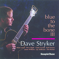 Dave Stryker - Blue to the Bone III