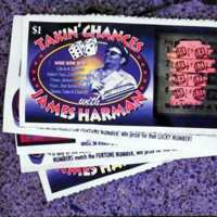 James Harman Band - Takin' Chances