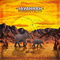 Groundbass - Savannah [Single]