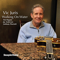 Vic Juris - Walking On Water