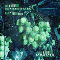 Keamia - Epidermis (EP)