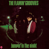 Flamin' Groovies - Jumpin' In The Night