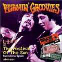 Flamin' Groovies - Live At The Festival Of The Sun