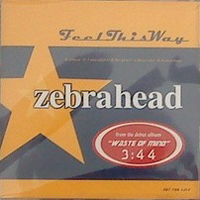 Zebrahead - Feel This Way (Single)