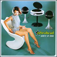 Zebrahead - Waste Of Mind