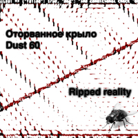 Dust 60 -   & Dust 60 - Ripped Reality