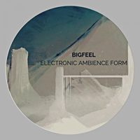 BiGFeeL - Electronic Ambience Form