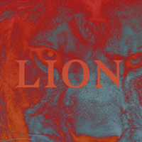 PNl - Lion (Single)