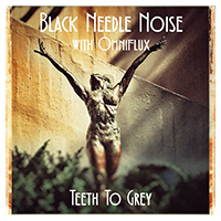 Black Needle Noise - Teeth To Grey (feat. Omniflux) (Single)