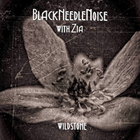 Black Needle Noise - Wild Stone (feat. Zia) (Single)