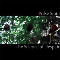 Pulse State (USA) - The Science of Despair