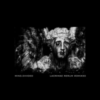 Mind.Divided - Lacrimae Rerum Remixed