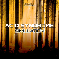 Acid Syndrome - Simulation (EP)