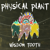 Physical Plant - Wisdom Tooth