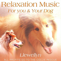 Llewellyn & Juliana - Relaxation Music for You and Your Dog