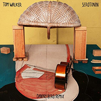 Walker, Tom - Serotonin (Danny Byrd Remix)