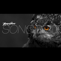 Lions'den - Songbird