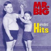 Mr. Big (USA) - Greatest Hits