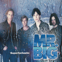 Mr. Big (USA) - Superfantastic (EP)