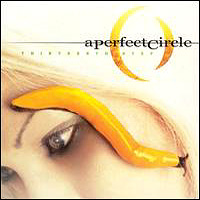 Perfect Circle - Thirteenth Step