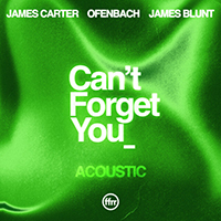Ofenbach - Can’t Forget You  [Acoustic]
