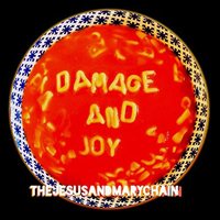 Jesus And Mary Chain - Damage and Joy