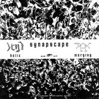 Synapscape - Helix / Merging