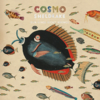 Sheldrake, Cosmo - Run Rings Right Wrongs (Single)
