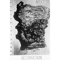 Abscess (DEU) - Destruction
