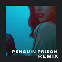 Penguin Prison - Down Low (Single)