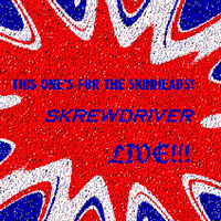 Skrewdriver - This One's For The Skinheads