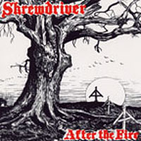 Skrewdriver - After The Fire