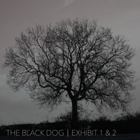 Black Dog - Exhibit 1 & 2 (Single)